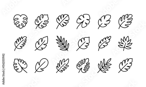A collection of vector tropical leaves icons in black on a white background, silhouettes of tropical plants - stock illustrationeasily editable and scalable.