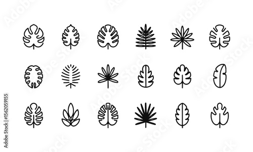 A collection of vector tropical leaves icons in black on a white background, silhouettes of tropical plants - stock illustrationeasily editable and scalable.