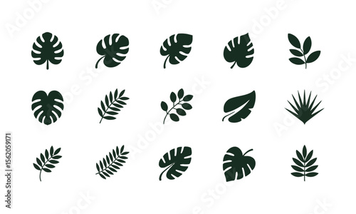 A collection of vector tropical leaves icons in black on a white background, silhouettes of tropical plants - stock illustrationeasily editable and scalable.