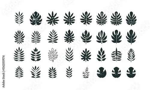 A collection of vector tropical leaves icons in black on a white background, silhouettes of tropical plants - stock illustrationeasily editable and scalable.