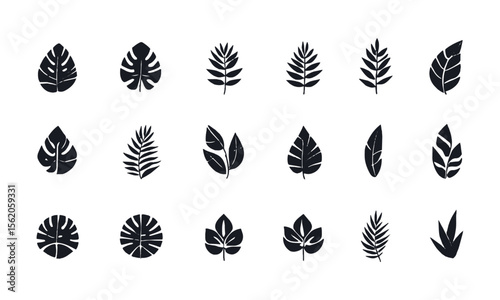 A collection of vector tropical leaves icons in black on a white background, silhouettes of tropical plants - stock illustrationeasily editable and scalable.