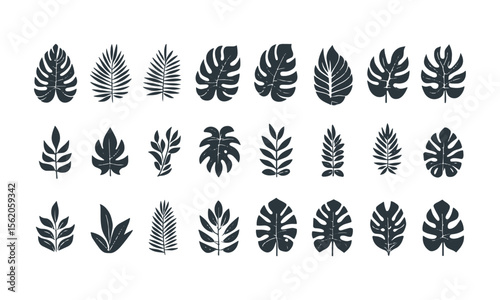 A collection of vector tropical leaves icons in black on a white background, silhouettes of tropical plants - stock illustrationeasily editable and scalable.