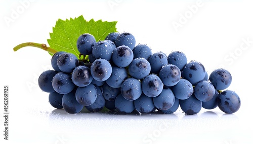 fresh organic black grapes isolated on white background