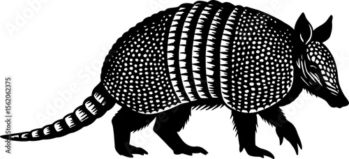 Armadillo illustration in black and white shows the unique texture and form of the armored mammal on a white background.
