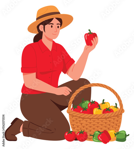 Organic Farmer Harvests Fresh Bell Peppers in a Basket for Sustainable Agriculture Concept