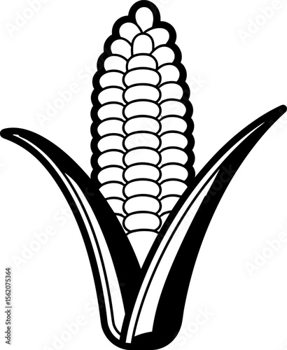 Corn Cob: A monochrome illustration of a staple food crop.