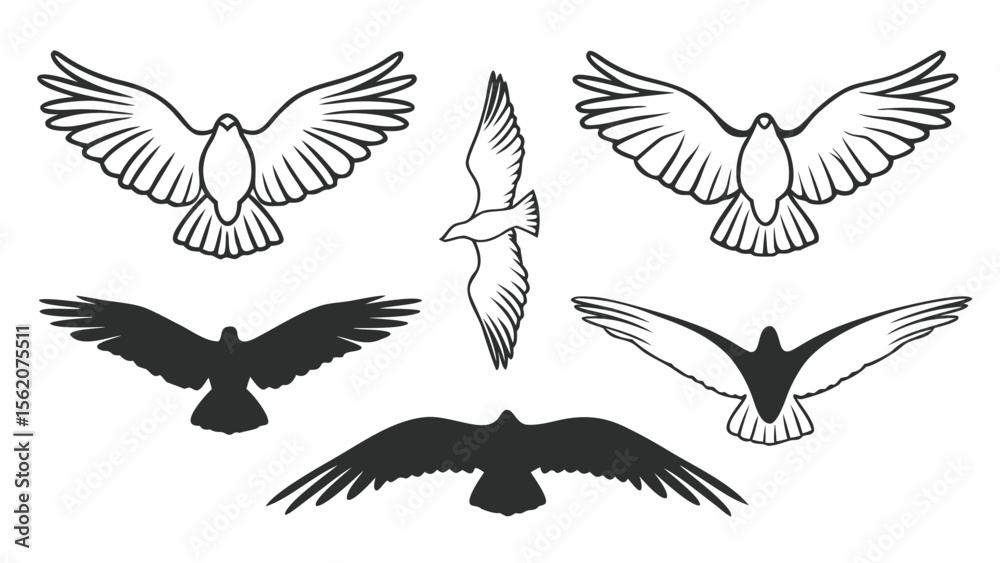 Fototapeta premium set of black silhouettes of birds