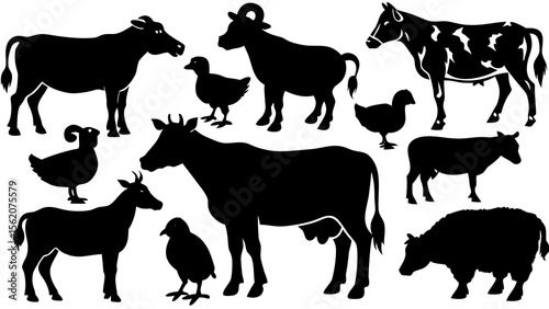 farm animals collection vector