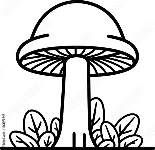 Mushroom Illustration: A Study in Botanical Simplicity