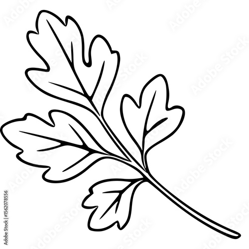 Vector illustration of a single parsley sprig with detailed, hand-drawn style leaves and a bold, black outline against a clean white background.