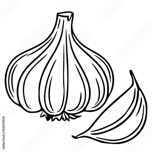 Vector illustration of a garlic bulb and clove, hand-drawn in a bold black outline style, showcasing detailed textures and a simplistic design ideal for culinary or health-related projects.