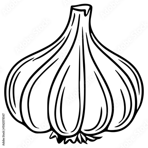 Detailed vector illustration of a single garlic bulb, showcasing its segmented structure and textured surface in a bold black and white style.