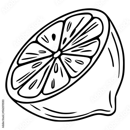 A vector illustration of a halved lemon, depicted in a bold, hand-drawn style with detailed segments and a textured rind, showcasing a minimalist black and white aesthetic.