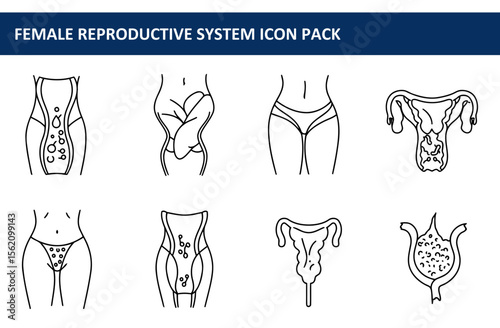 Female reproductive system icons in various anatomical positions. Detailed diagrams of the female reproductive system components in a medical illustration style.