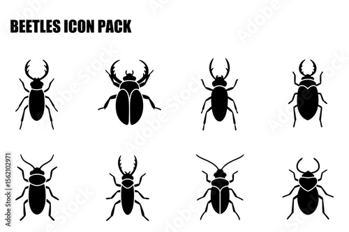 Black and white silhouette illustrations of various beetle types in a flat design. Simple icons set against a plain white background.