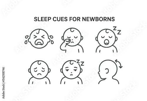 Newborn sleep cues chart with baby illustrations vector icon isolated illustration