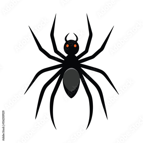 spider on a white background vector 