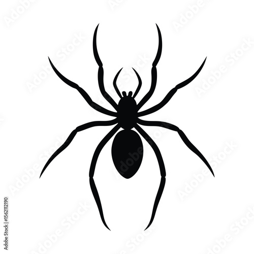 spider on a white background vector 
