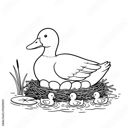 Duck sitting on nest with ducklings in the water silhouette