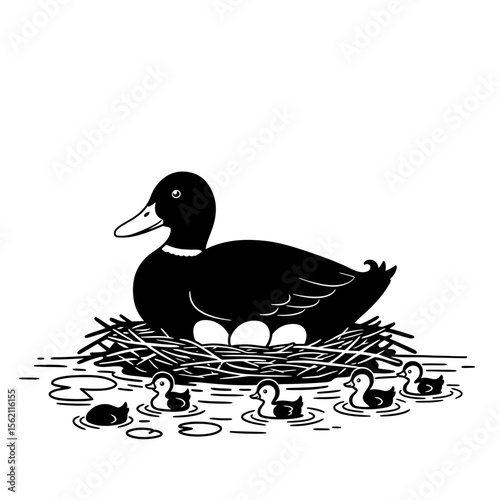 Duck sitting on nest with ducklings in the water silhouette
