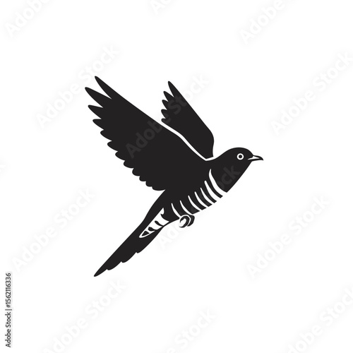 Silhouette of a cuckoo bird flying with wings open