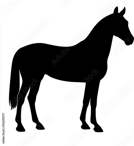 Create a high-resolution black silhouette vector image of a Bunny horse, in full body profile, with a transparent background and pure white surrounding canvas.