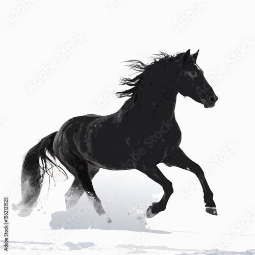 black horse running