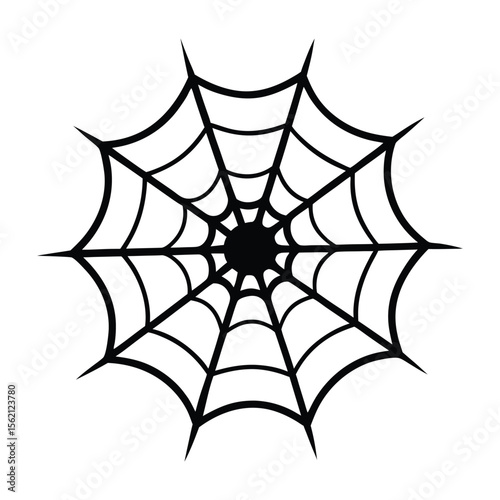 spider web vector