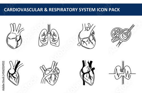 Cardiovascular and respiratory system icons in black and white line art style. Anatomical diagrams of the heart and lungs with various views and details.