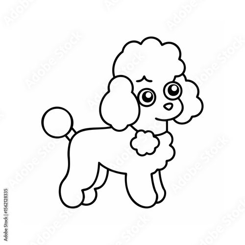 Outline a poodle dog with fluffy fur a tail on a animal canine