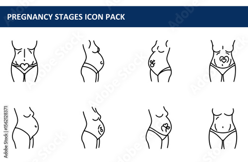 Pregnant female figures in various stages of pregnancy, side view, illustrating the progression of the pregnancy.