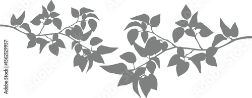 Realistic shadow of tree branch. plant leaves shadows isolated on transparent background. plant branch shade, foliage silhouette decoration. Design element for summer spring projects,