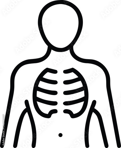 Rib cage outline illustration of human chest for medical use
