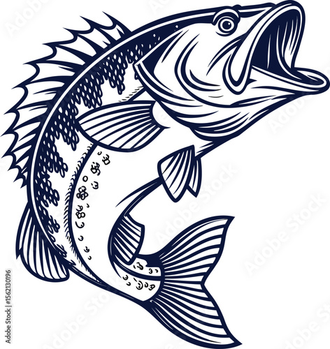 Detailed etching style illustration of a largemouth bass fish in dynamic motion showcasing its fins and scales with intricate line work and shading