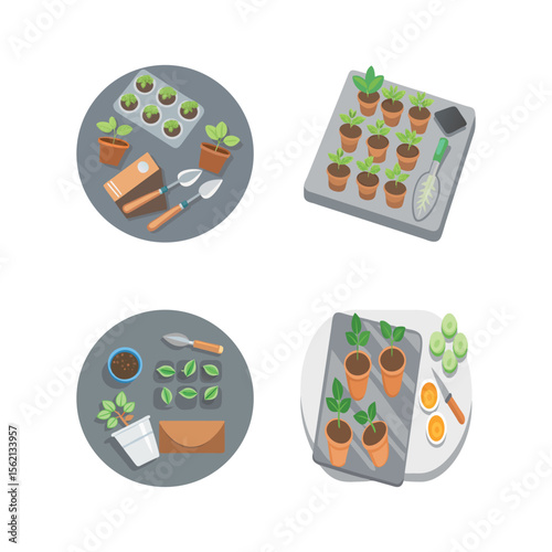 Gardening and Planting A Guide to Growing Seedlings