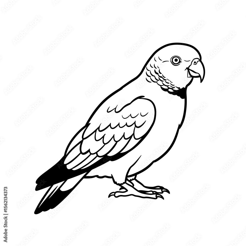 Obraz premium Illustration of a perched parrot in black and white silhouette