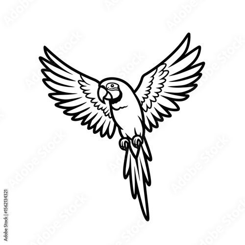 Outlined parrot with wings spread in flight design silhouette
