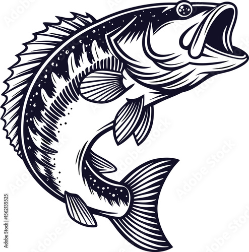A vibrant traditional side profile illustration of a largemouth bass fish perfect for fishing enthusiasts sports apparel and outdoor advertising banners