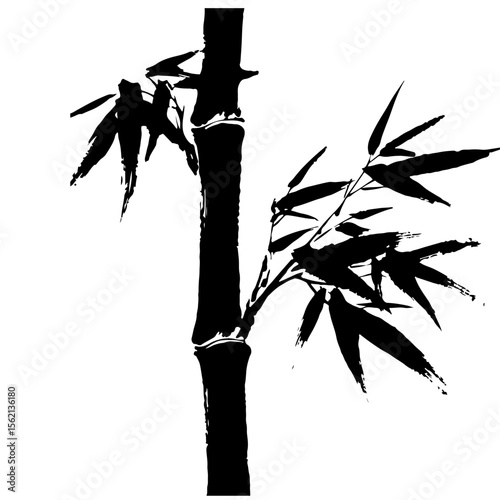 Bamboo illustration in black and white, a simple design element