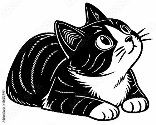 Cute black and white cat with big eyes looking up curiously