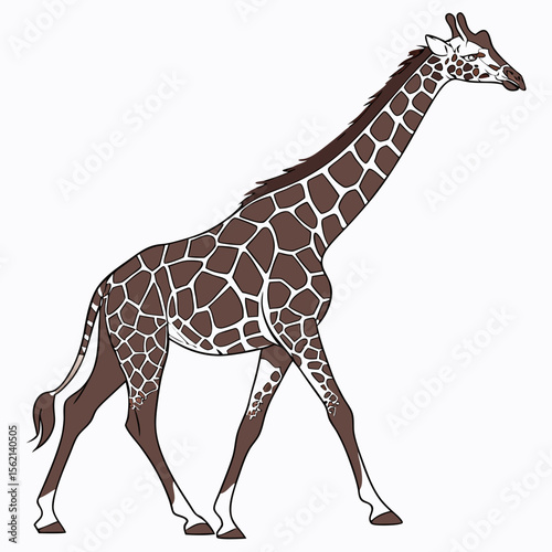 Giraffe Reaching with Long Neck Vector Line Art on White Background


