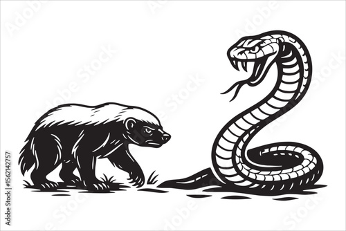 Honey Badger Confronting Cobra Snake Black and White Illustration