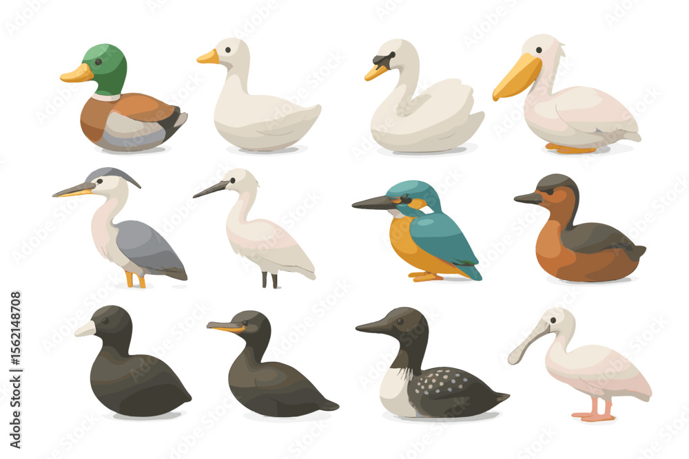 Obraz premium Colorful cartoon birds: ducks, swans, pelicans, and more in a grid display