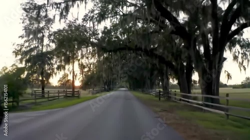 sunset in the park