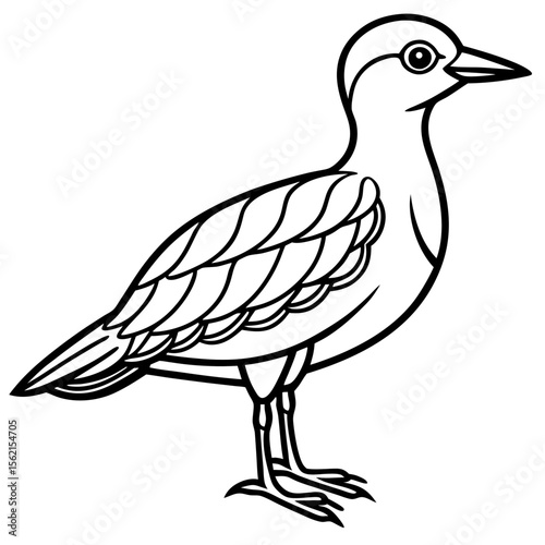 Stylized line art drawing of a shorebird standing on white background