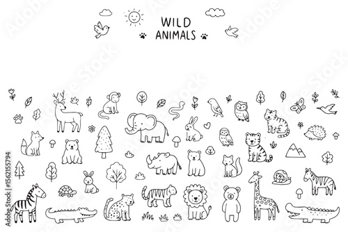 Safari animal outline vector illustrations for coloring. Safari animals in doodl style. Vector illustration