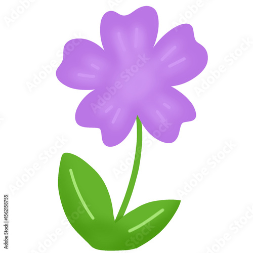 blooming flowers