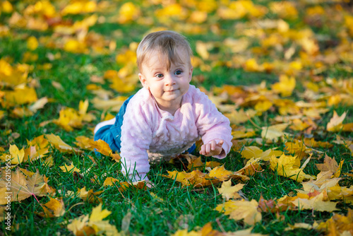 Happy little girl crawls on all fours on fallen colorful leaves in autumn park