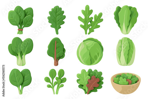 Variety of green leafy vegetables on green background