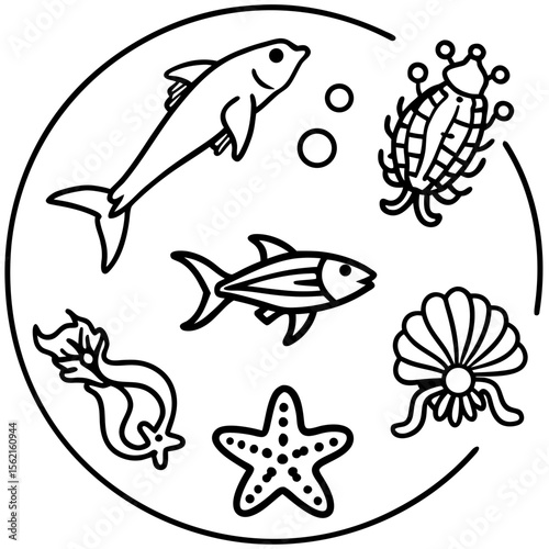 Marine Creatures Set